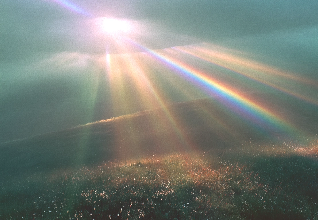shine